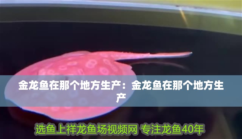 金龍魚在那個地方生產：金龍魚在那個地方生產