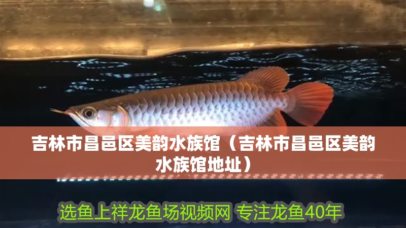 吉林市昌邑區(qū)美韻水族館（吉林市昌邑區(qū)美韻水族館地址）