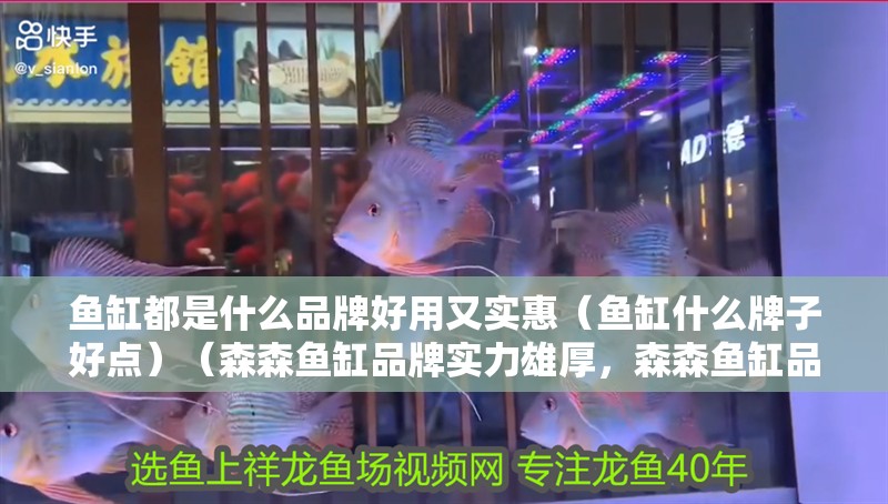 魚缸都是什么品牌好用又實惠（魚缸什么牌子好點）（森森魚缸品牌實力雄厚，森森魚缸品牌森森魚缸品牌）