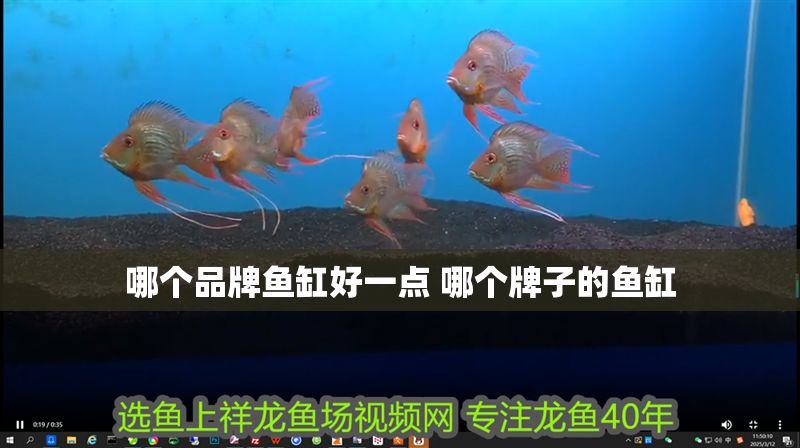 哪個品牌魚缸好一點 哪個牌子的魚缸