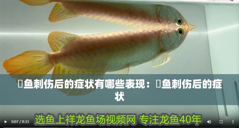 魟魚刺傷后的癥狀有哪些表現：魟魚刺傷后的癥狀 魟魚刺傷后的癥狀有哪些表現：魟魚刺傷后的癥狀 魟魚百科 第2張