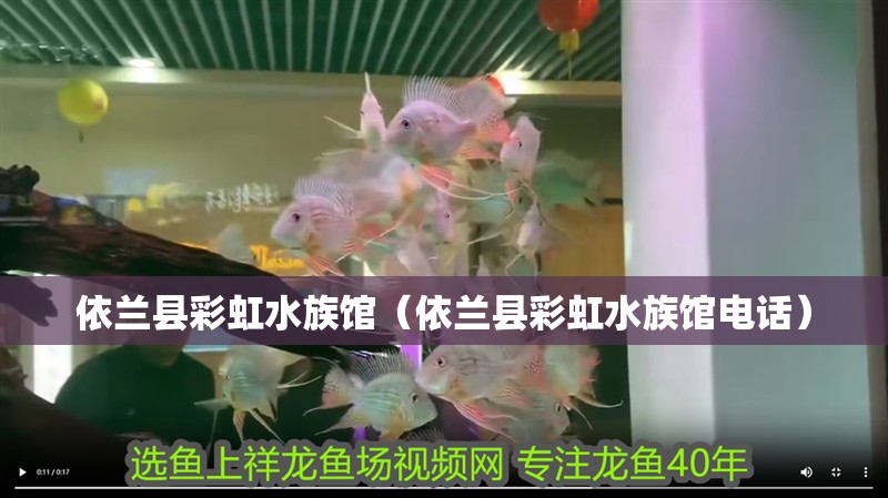 依蘭縣彩虹水族館（依蘭縣彩虹水族館電話(huà)）