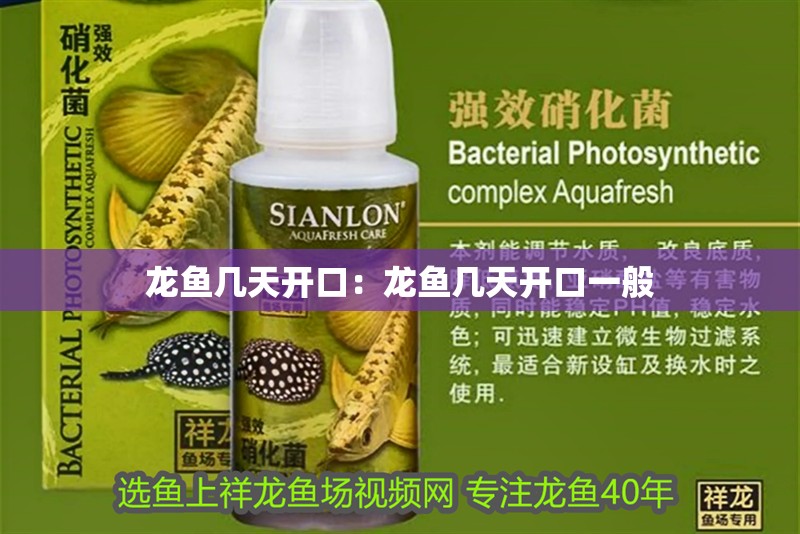 龍魚(yú)幾天開(kāi)口：龍魚(yú)幾天開(kāi)口一般