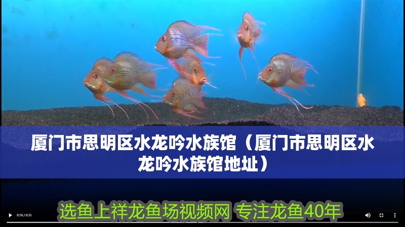 廈門(mén)市思明區(qū)水龍吟水族館（廈門(mén)市思明區(qū)水龍吟水族館地址）