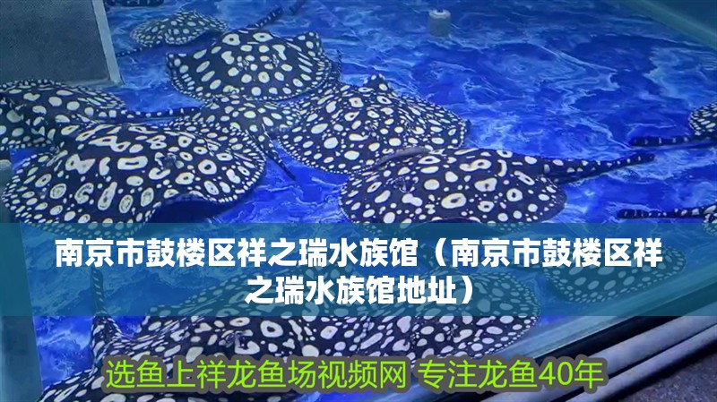 南京市鼓樓區祥之瑞水族館（南京市鼓樓區祥之瑞水族館地址）