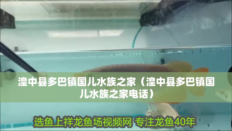 湟中縣多巴鎮國兒水族之家（湟中縣多巴鎮國兒水族之家電話）
