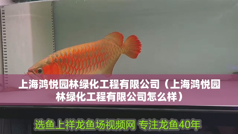 上海鴻悅園林綠化工程有限公司（上海鴻悅園林綠化工程有限公司怎么樣）