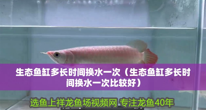生態(tài)魚缸多長時間換水一次（生態(tài)魚缸多長時間換水一次比較好）