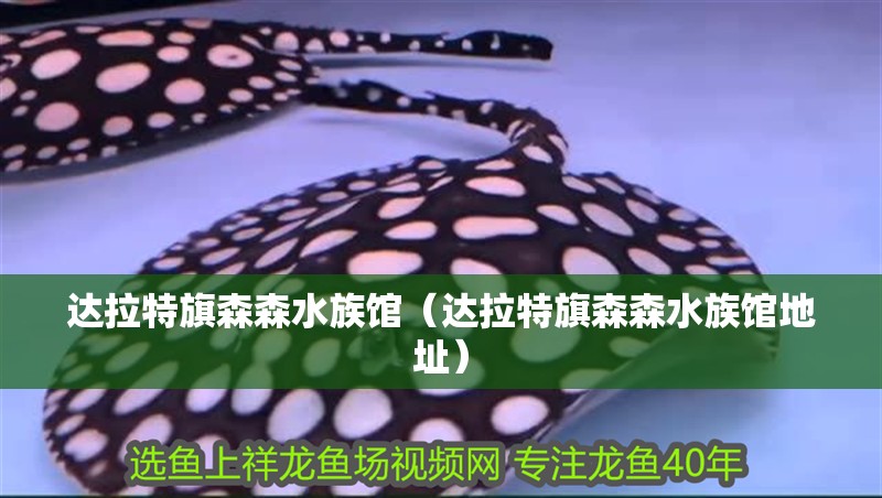 達拉特旗森森水族館(達拉特旗森森水族館地址) 全國水族館企業名錄 第1張 達拉特旗森森水族館(達拉特旗森森水族館地址) 達拉特旗森森水族館(達拉特旗森森水族館地址) 全國水族館企業名錄 第1張