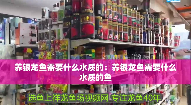 養銀龍魚需要什么水質的：養銀龍魚需要什么水質的魚