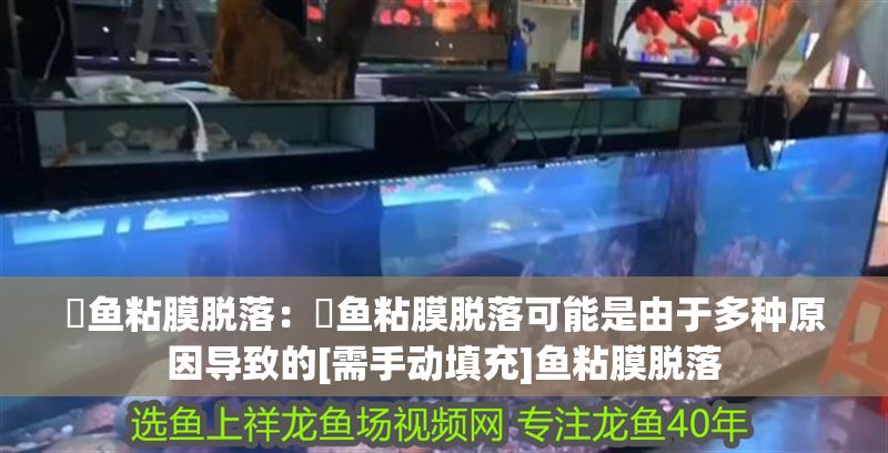 魟魚粘膜脫落：魟魚粘膜脫落可能是由于多種原因?qū)е碌腫需手動填充]魚粘膜脫落