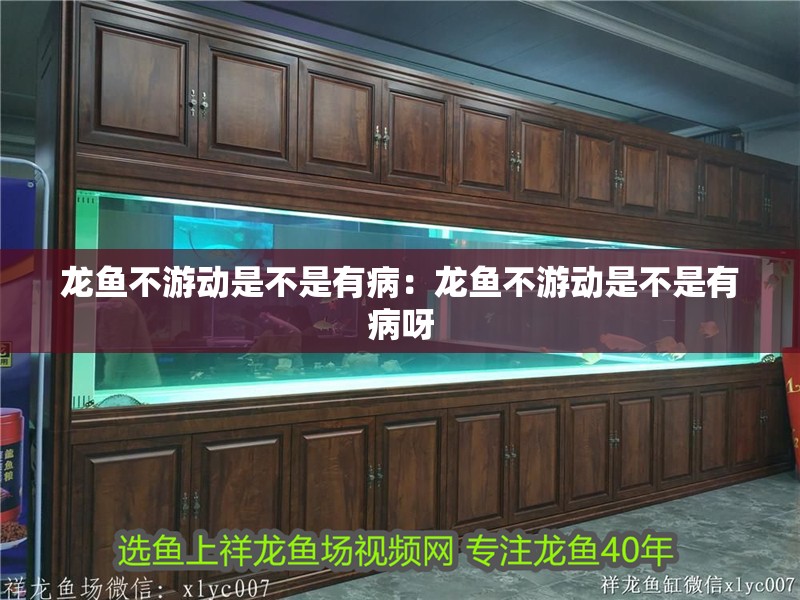 龍魚不游動是不是有病：龍魚不游動是不是有病呀