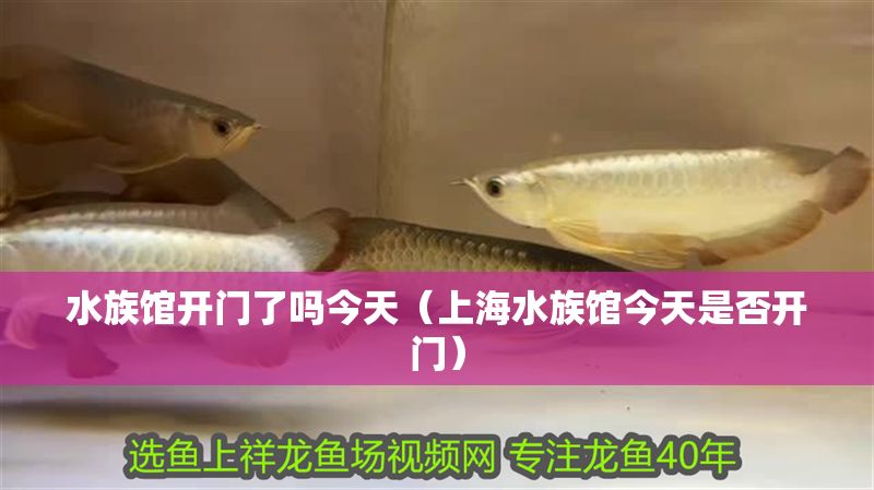 水族館開門了嗎今天（上海水族館今天是否開門）