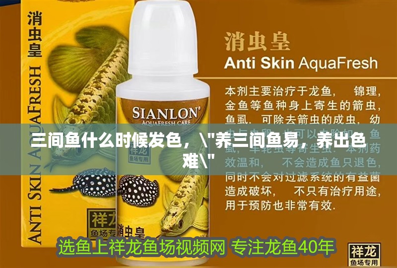 三間魚什么時候發(fā)色，\