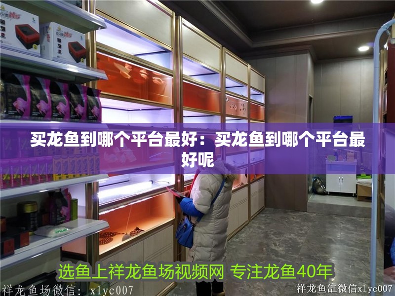 買龍魚到哪個平臺最好：買龍魚到哪個平臺最好呢