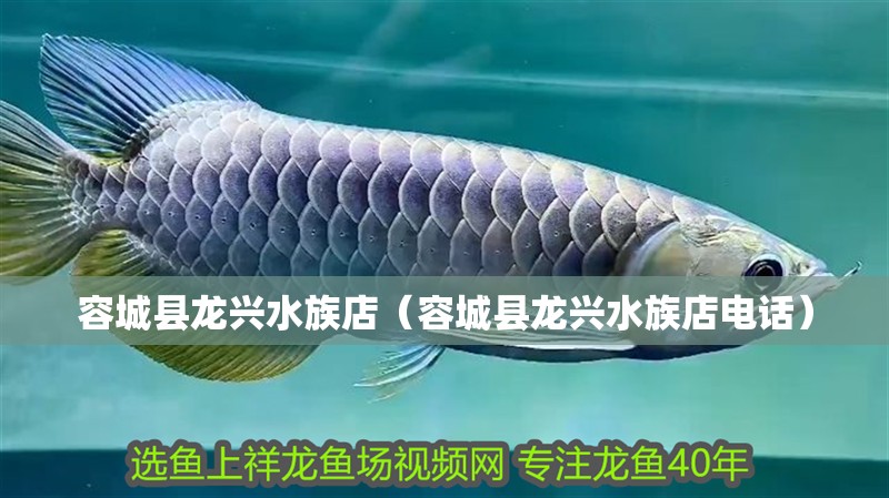 容城縣龍興水族店（容城縣龍興水族店電話）