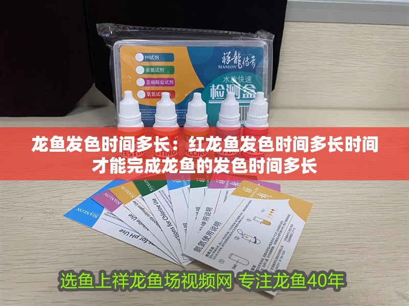 龍魚發色時間多長：紅龍魚發色時間多長時間才能完成龍魚的發色時間多長