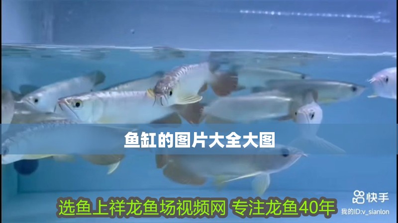 魚缸的圖片大全大圖