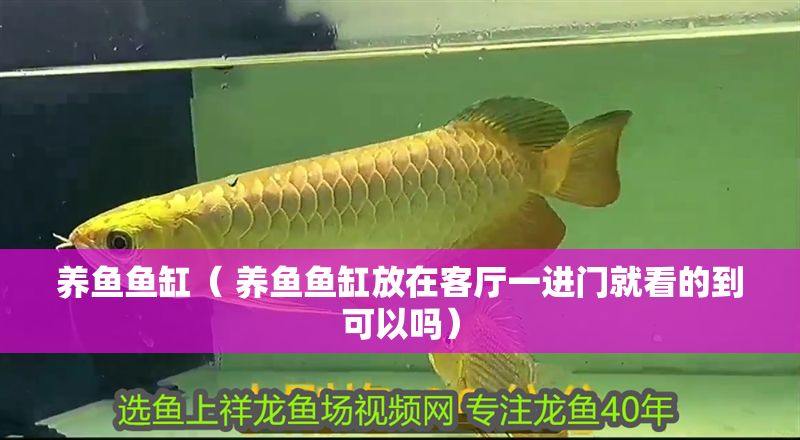 養(yǎng)魚魚缸（ 養(yǎng)魚魚缸放在客廳一進(jìn)門就看的到可以嗎）