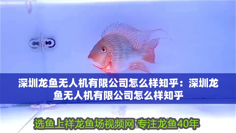 深圳龍魚無人機有限公司怎么樣知乎：深圳龍魚無人機有限公司怎么樣知乎