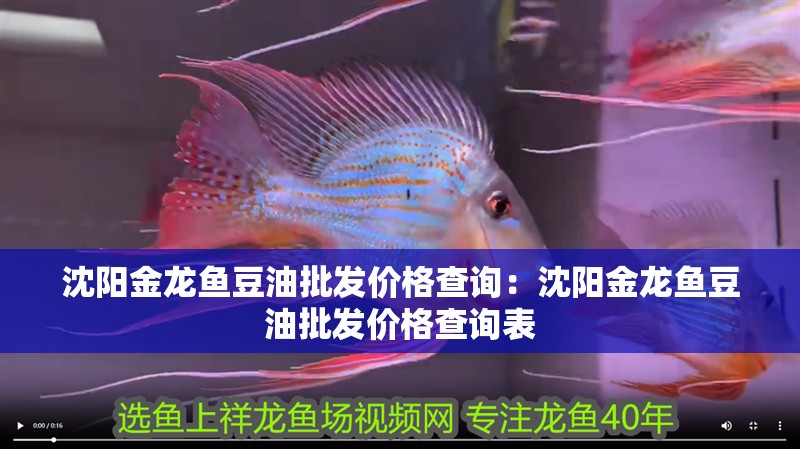 沈陽金龍魚豆油批發價格查詢：沈陽金龍魚豆油批發價格查詢表