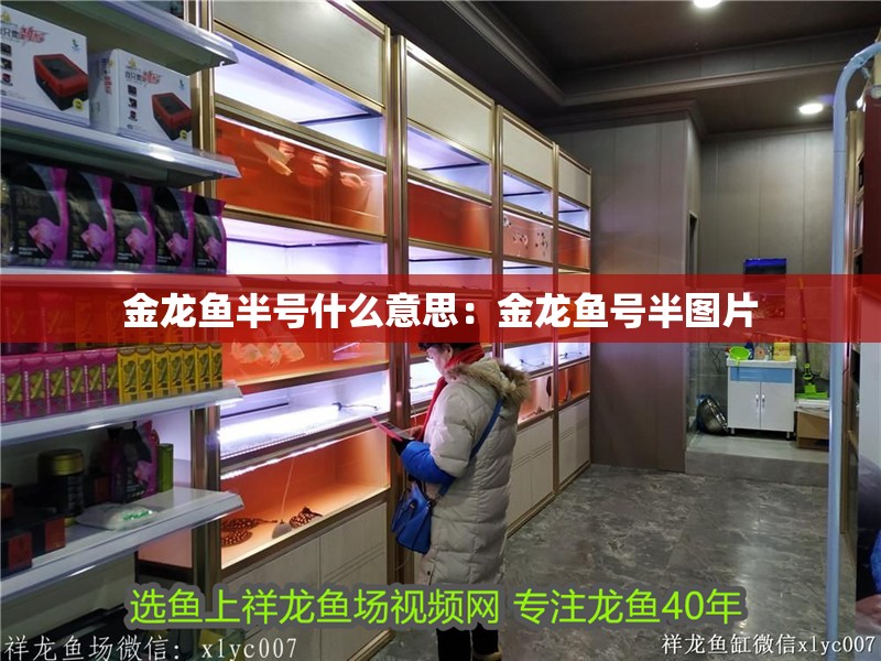 金龍魚半號什么意思：金龍魚號半圖片 金龍魚半號什么意思：金龍魚號半圖片 水族問答