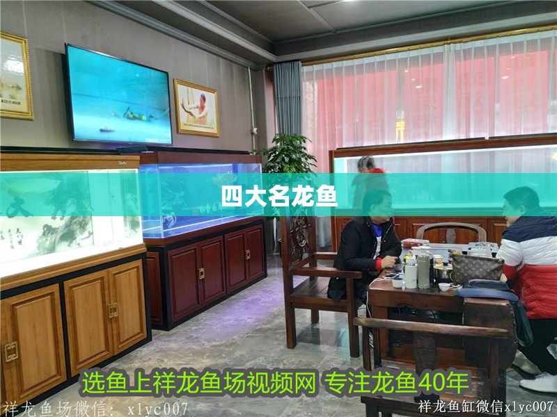 四大名龍魚