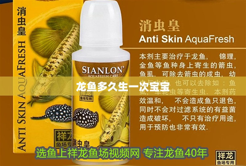 龍魚多久生一次寶寶