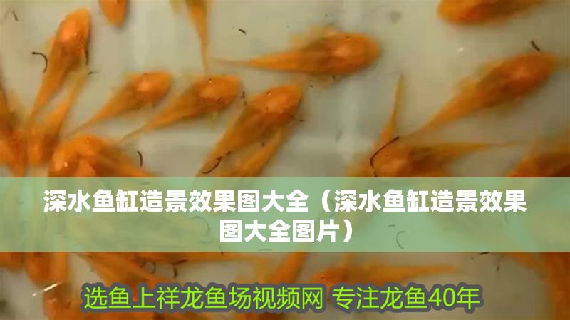 深水魚缸造景效果圖大全（深水魚缸造景效果圖大全圖片）