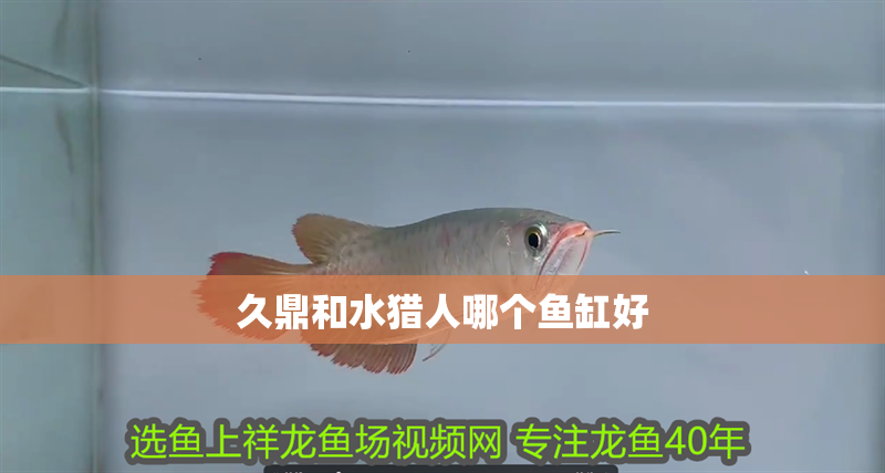 久鼎和水獵人哪個魚缸好