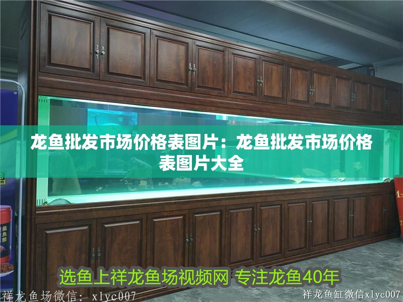 龍魚批發(fā)市場價格表圖片：龍魚批發(fā)市場價格表圖片大全