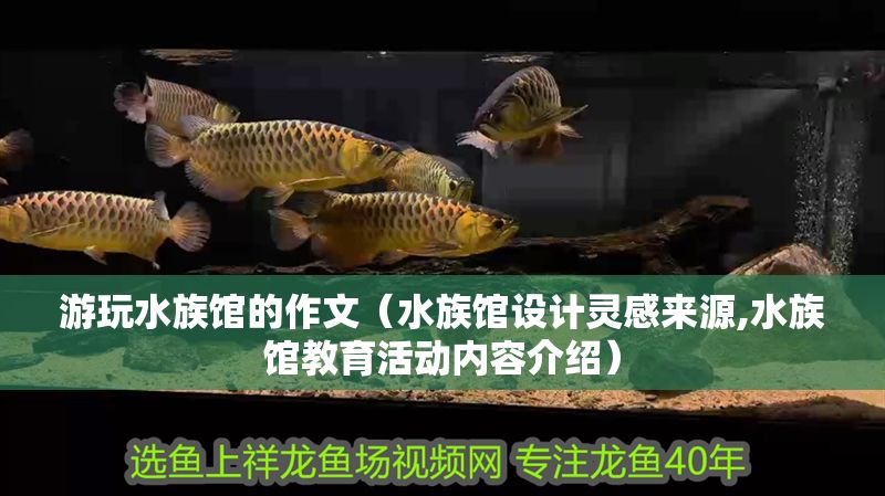 游玩水族館的作文（水族館設(shè)計靈感來源,水族館教育活動內(nèi)容介紹）