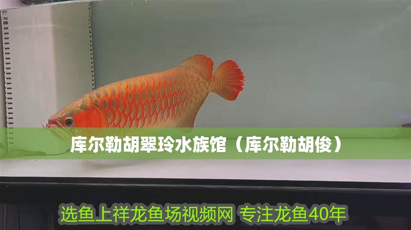 庫爾勒胡翠玲水族館（庫爾勒胡?。? title=