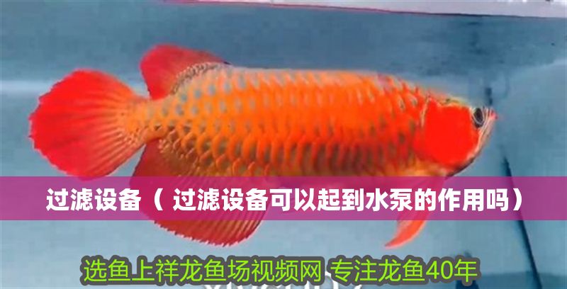 過濾設備（ 過濾設備可以起到水泵的作用嗎）