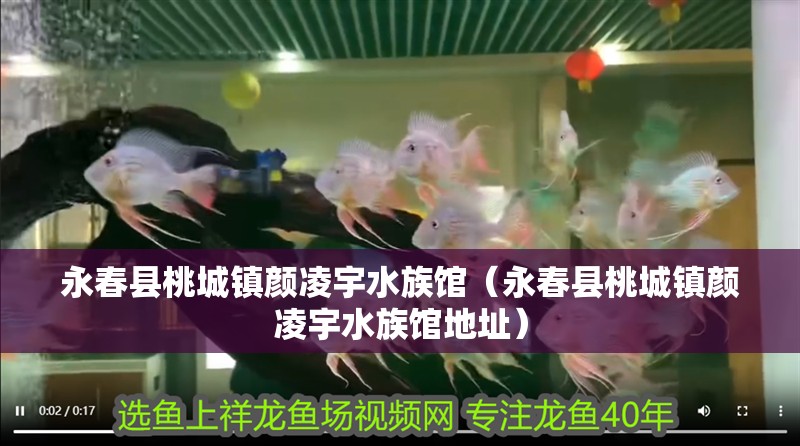 永春縣桃城鎮顏凌宇水族館（永春縣桃城鎮顏凌宇水族館地址）