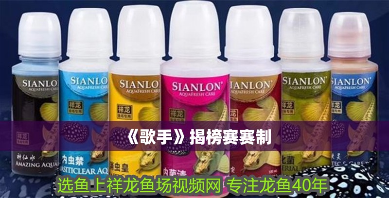 《歌手》揭榜賽賽制