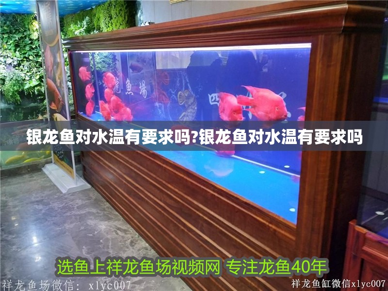 銀龍魚對水溫有要求嗎?銀龍魚對水溫有要求嗎