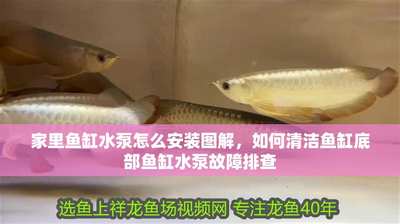 家里魚缸水泵怎么安裝圖解，如何清潔魚缸底部魚缸水泵故障排查