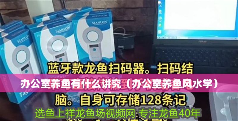 辦公室養魚有什么講究（辦公室養魚風水學）