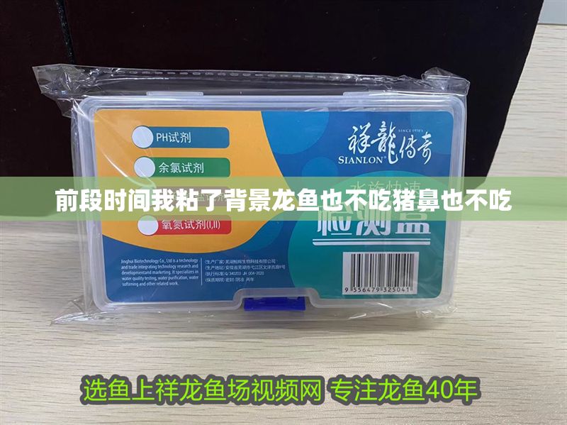 前段時(shí)間我粘了背景龍魚也不吃豬鼻也不吃
