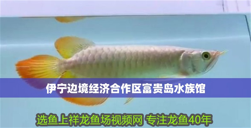 伊寧邊境經濟合作區富貴島水族館 全國水族館企業名錄 第1張 伊寧邊境經濟合作區富貴島水族館 伊寧邊境經濟合作區富貴島水族館 全國水族館企業名錄 第1張