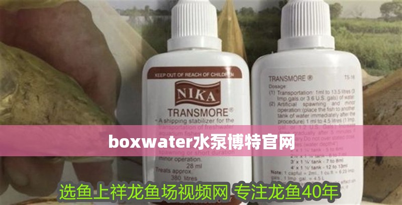 boxwater水泵博特官網(wǎng)