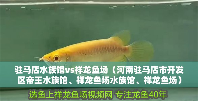 駐馬店水族館vs祥龍魚場（河南駐馬店市開發區帝王水族館、祥龍魚場水族館、祥龍魚場）