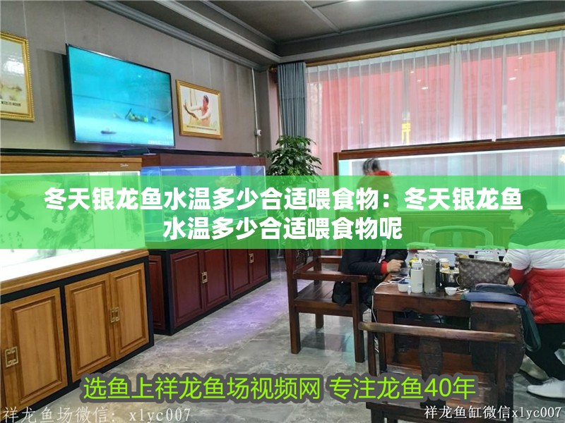 冬天銀龍魚水溫多少合適喂食物：冬天銀龍魚水溫多少合適喂食物呢
