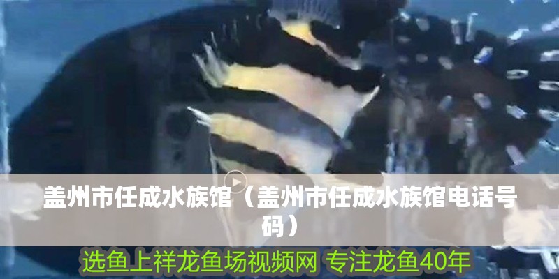 蓋州市任成水族館（蓋州市任成水族館電話號碼）