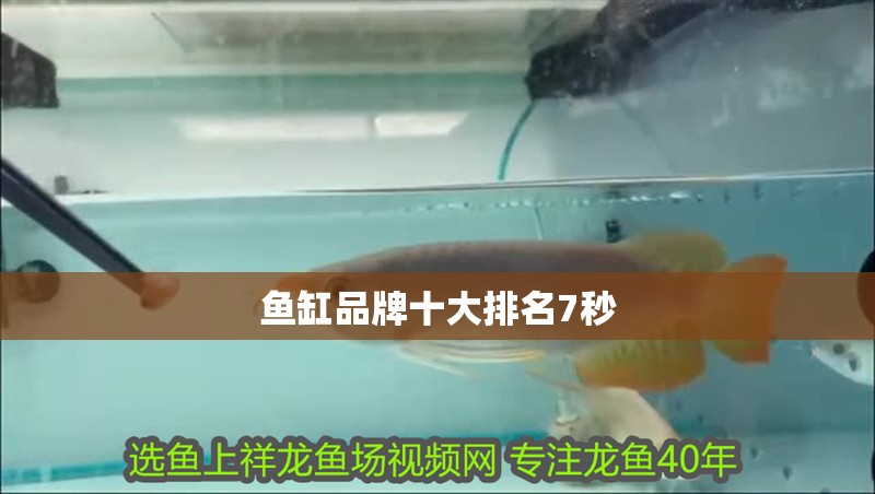 魚缸品牌十大排名7秒
