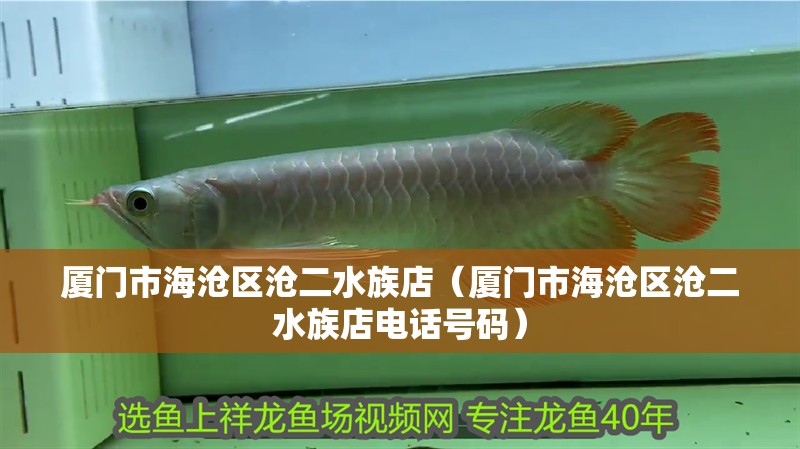 廈門市海滄區(qū)滄二水族店（廈門市海滄區(qū)滄二水族店電話號(hào)碼） 廈門市海滄區(qū)滄二水族店（廈門市海滄區(qū)滄二水族店電話號(hào)碼） 全國(guó)水族館企業(yè)名錄 第1張