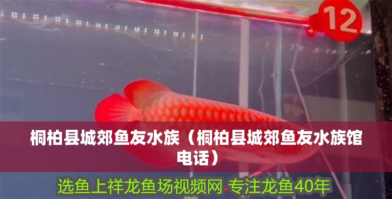 桐柏縣城郊魚友水族（桐柏縣城郊魚友水族館電話）