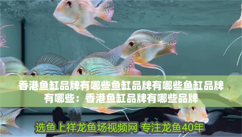 <strong><mark>香港</mark></strong>魚缸品牌有哪些魚缸品牌有哪些魚缸品牌有哪些：<strong><mark>香港</mark></strong>魚缸品牌有哪些品牌