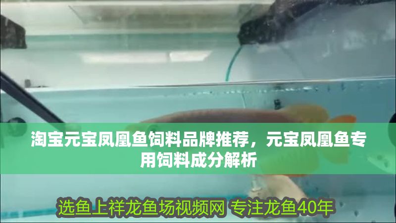淘寶元寶鳳凰魚飼料品牌推薦，元寶鳳凰魚專用飼料成分解析